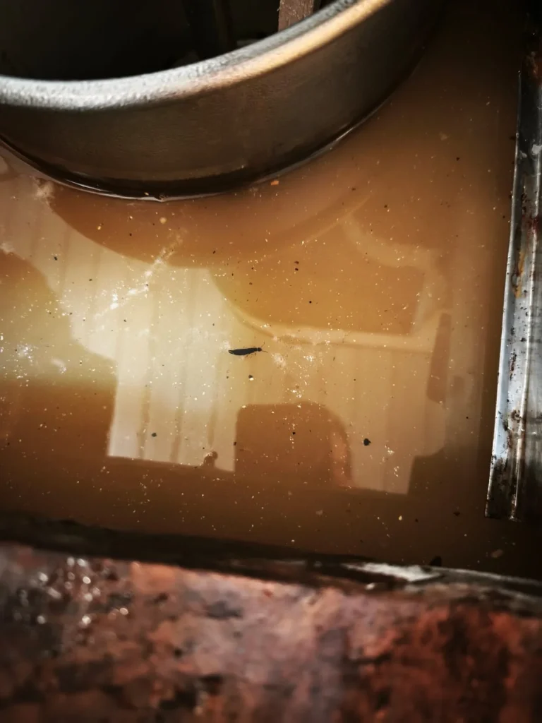 Whatsapp Image 2026 04 02 At 18.44.36