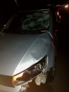 Ciclista morre em acidente na BR-116 em Correia Pinto