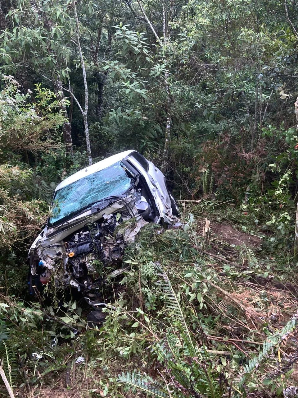 Whatsapp Image 2026 04 06 At 22.40.59