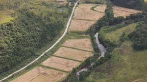 Tribunal de Contas do Estado manda suspender edital para construção da barragem em Mirim Doce