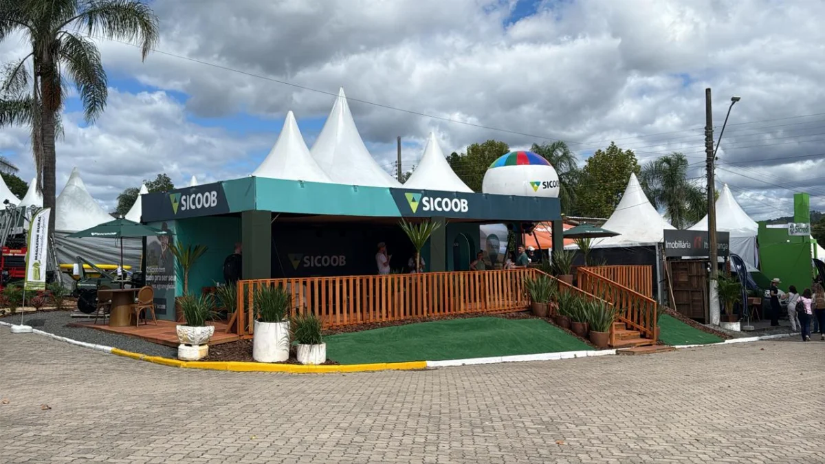 Whatsapp Image 2026 04 09 At 11.09.32