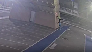 Quatro estátuas da Havan são alvos de ataques em diferentes estados