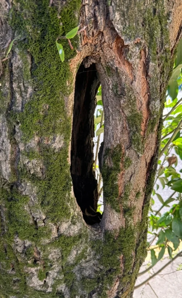 Whatsapp Image 2026 04 13 At 11.04.12 (1)