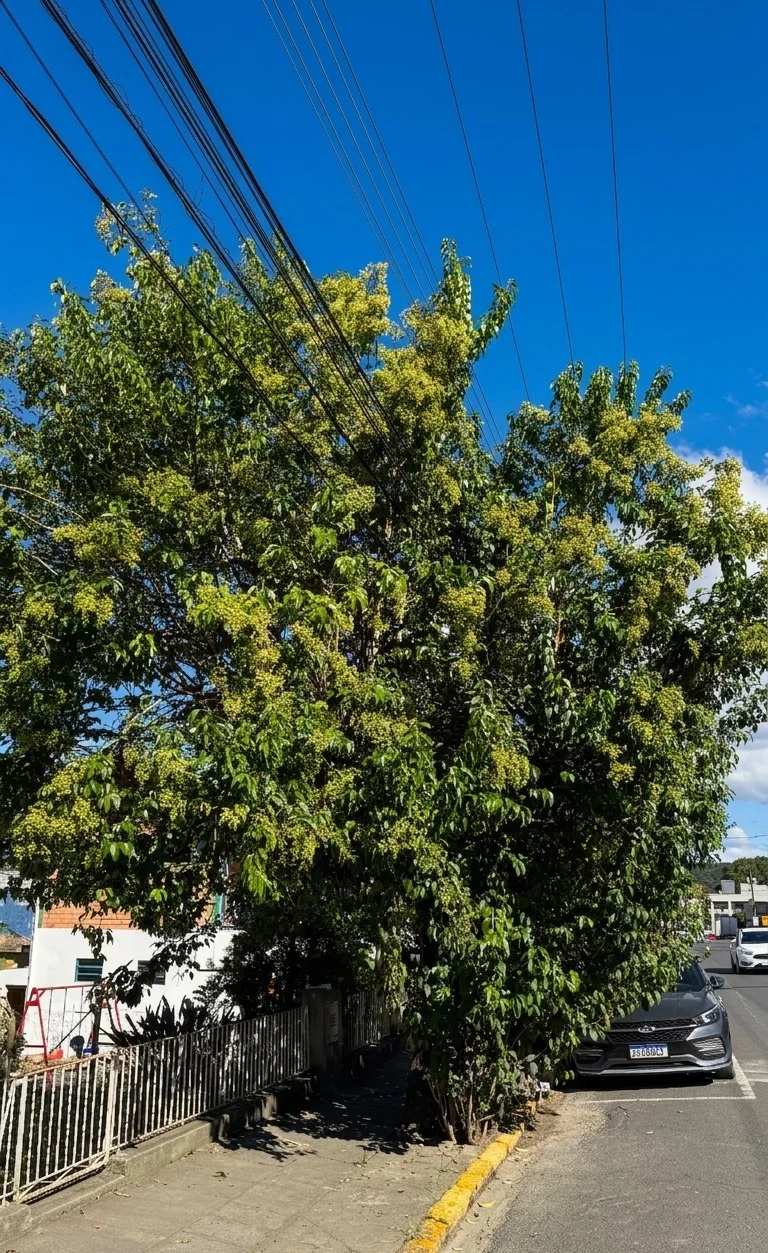 Whatsapp Image 2026 04 13 At 11.04.12