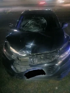 Mulher fica gravemente ferida após atropelamento na BR-470 em Indaial