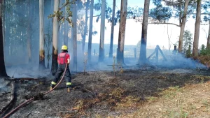 Bombeiros combatem incêndio em vegetação no Caminho Tamanduá, em Presidente Getúlio