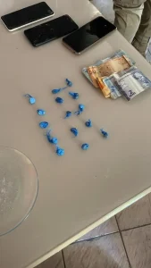 Tráfico de drogas é desmantelado em Apiúna após denúncia