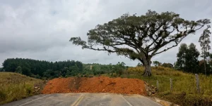 Prefeitura reforça bloqueio na Serra do Tucano após remoção irregular de barreiras