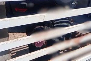 Menino de quatro anos morre após ataque de cachorro em Chapecó