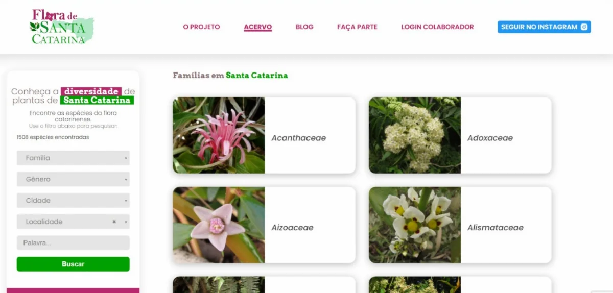 B2ad09df Bc9c 49ec Bd04 1f56d65e2da3