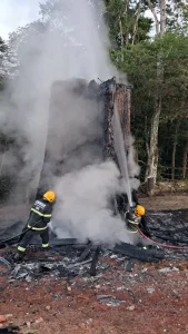 Bombeiros combatem incêndio em figueira em praça de Rio do Sul