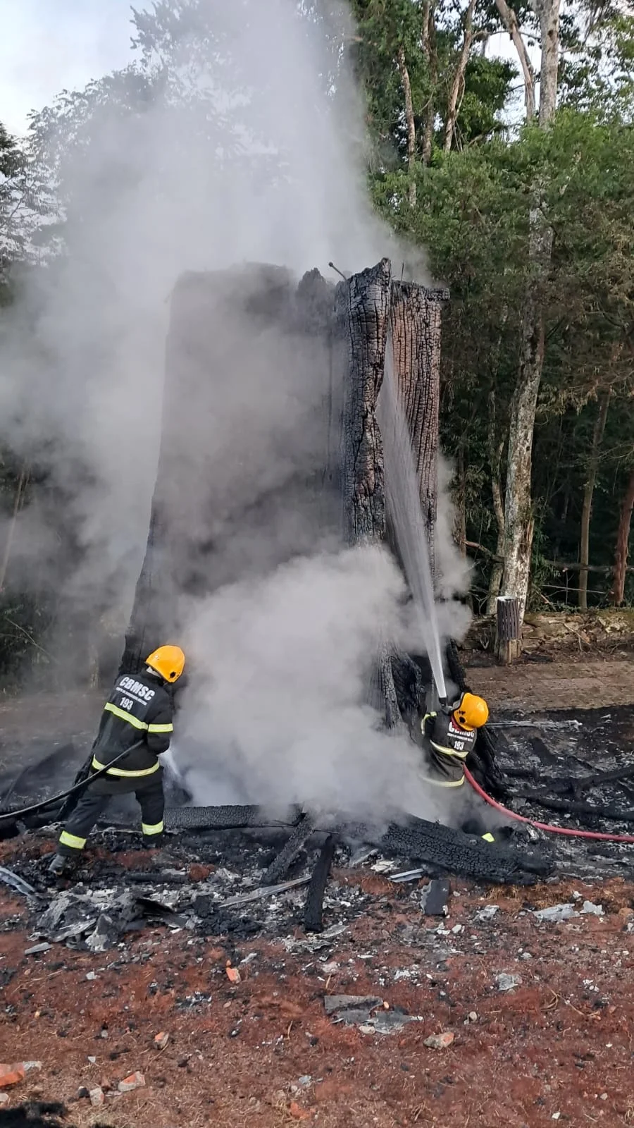 B65d2736 3c05 4eff 89e4 A46082e680ee