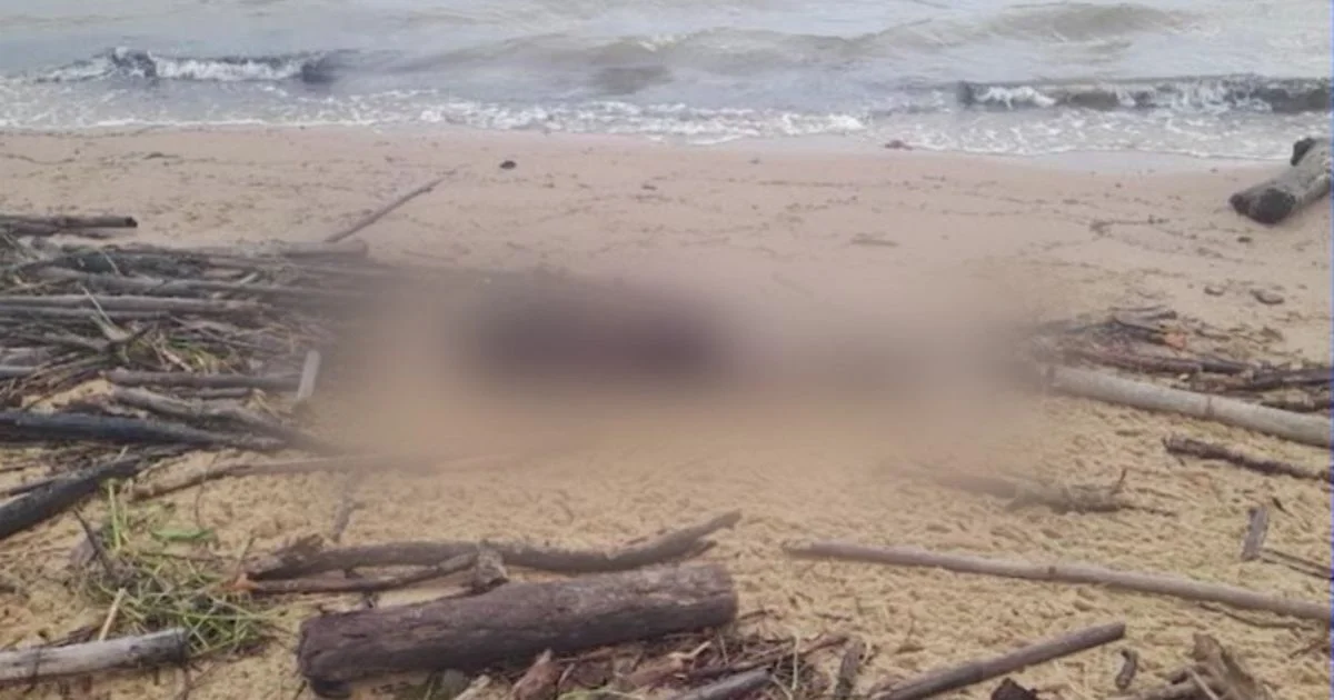 Corpo Encontrado Com Maos E Pes Amarrados Em Palhoca