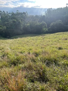 Condutor é atropelado pelo trator que conduzia ao se ejetar para fora do veículo após perceber que estava sem freio