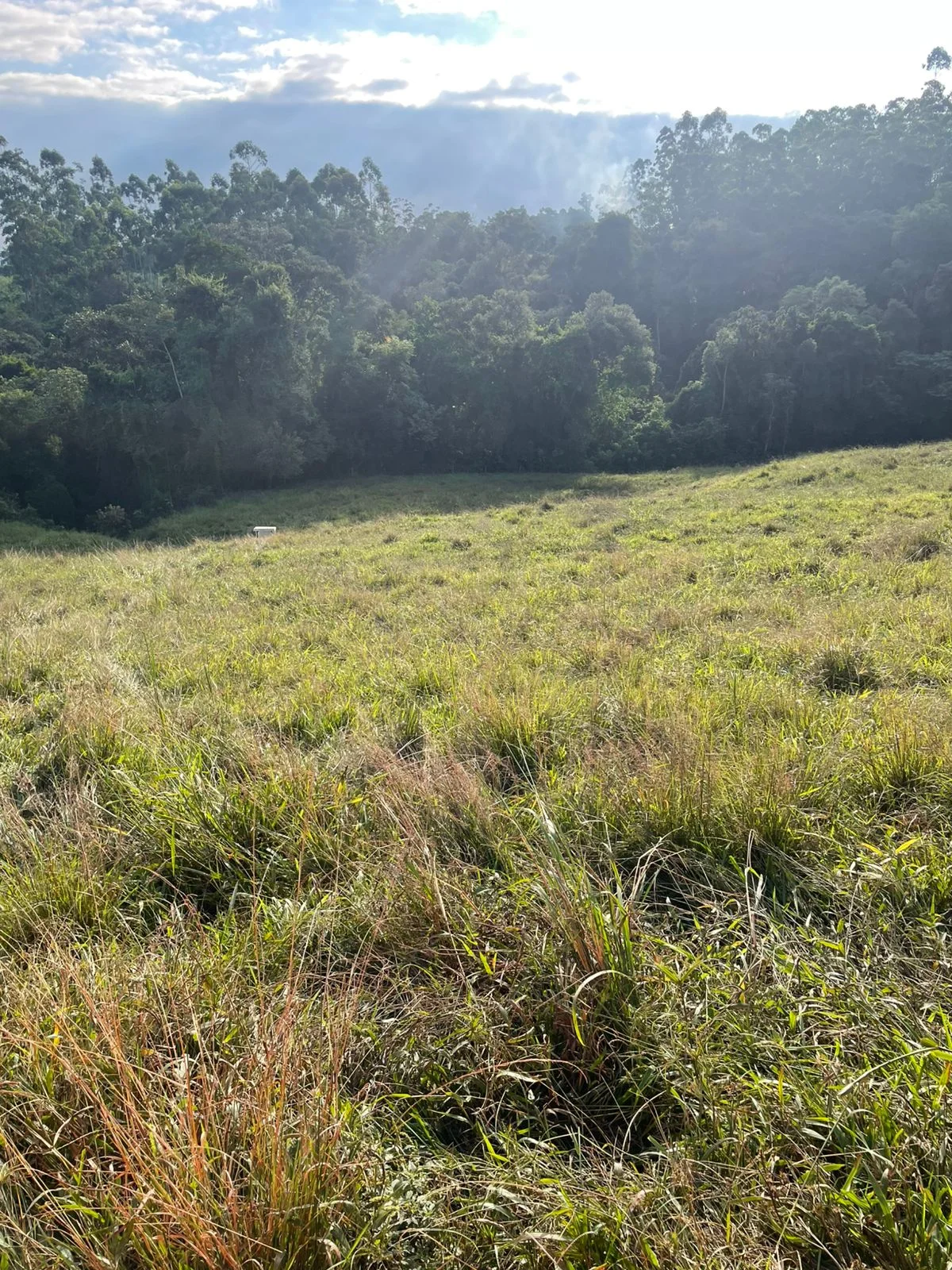 F0b2f4a5 1b07 4950 A81d 6767ac204224