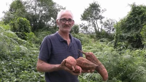 Depois do infarto, produtor reinventa a rotina e segue firme no campo