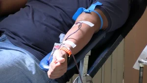 Doar sangue salva vidas 🩸