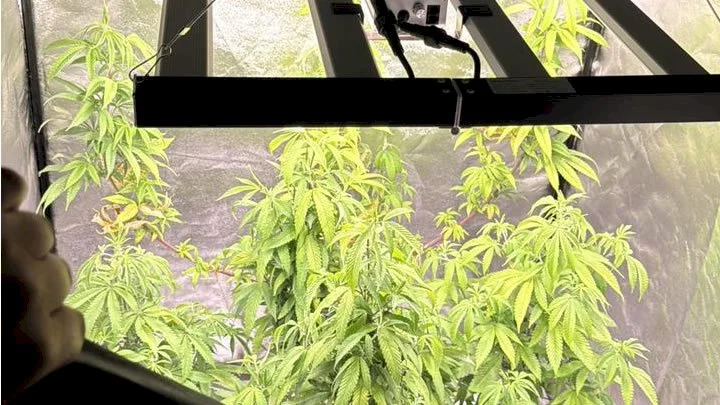 Untitled 2 1777051889