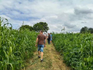 Estão abertas, até o dia 16 de maio, as inscrições para programa que beneficia agricultores em Ibirama