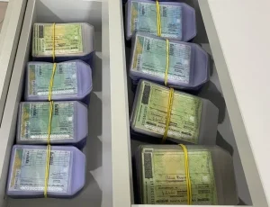 Detran/SC alerta: CNHs não retiradas até 2 de junho serão destruídas