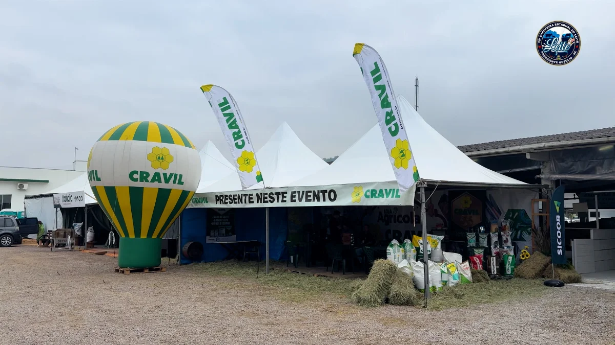 Cravil