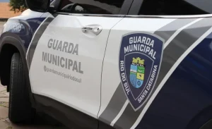 Dois homens são detidos após danificarem carro em Rio do Sul