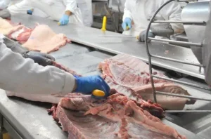 Trabalhadora chamada de “porcona” e atacada com coxa de frango em frigorífico será indenizada em SC