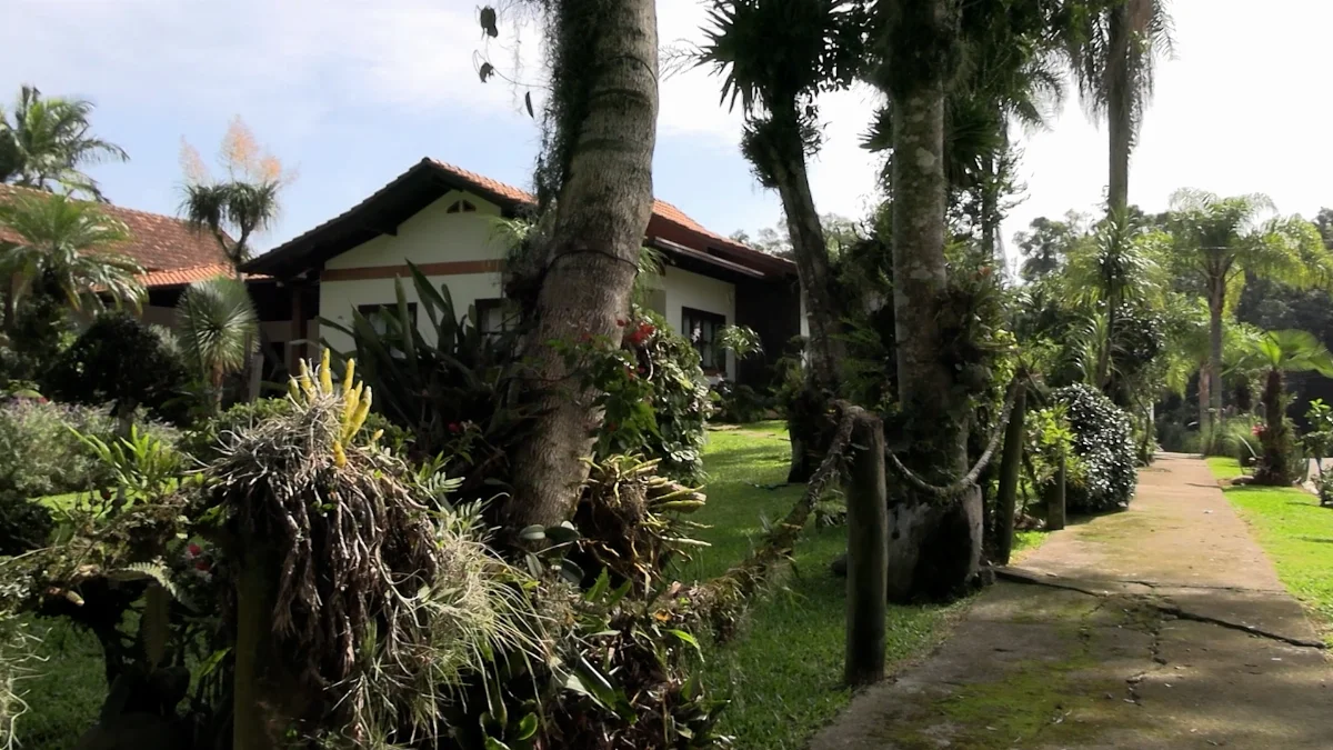 Jardim