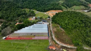 Conheça o programa Mais Verde