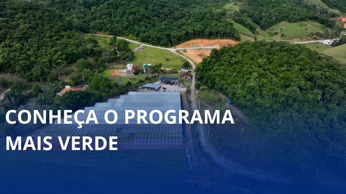 Mais Verde