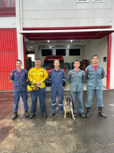 Buscas por desaparecido mobilizam bombeiros em Pouso Redondo; homem é localizado em segurança
