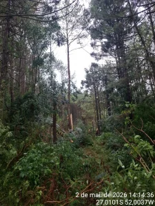 Tempestade severa causa danos na Serra Catarinense