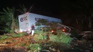Ventos fortes causam estragos e mobilizam Defesa Civil em Santa Catarina