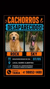 Dois cães desaparecem no bairro Albertina e família pede ajuda para encontrá-los