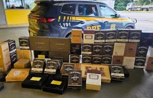 Quase 300 garrafas de vinho argentino são apreendidas na BR-101 em Joinville