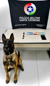 Mulher é presa por tráfico de drogas após abordagem da PM