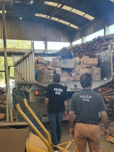 Polícia Civil incinera meia tonelada de “medicamentos” apreendidos em Laurentino