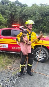 Bombeiros resgatam cadela paraplégica de ribanceira em Aurora
