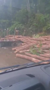 Caminhão carregado com toras de madeira sai da pista na BR-470 em Lontras