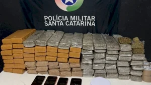 Mais de 124 quilos de maconha são apreendidos em ações em Barra Velha e Joinville