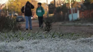 Frio intenso chega a Santa Catarina nesta quinta-feira (21) com mínimas de -5°C