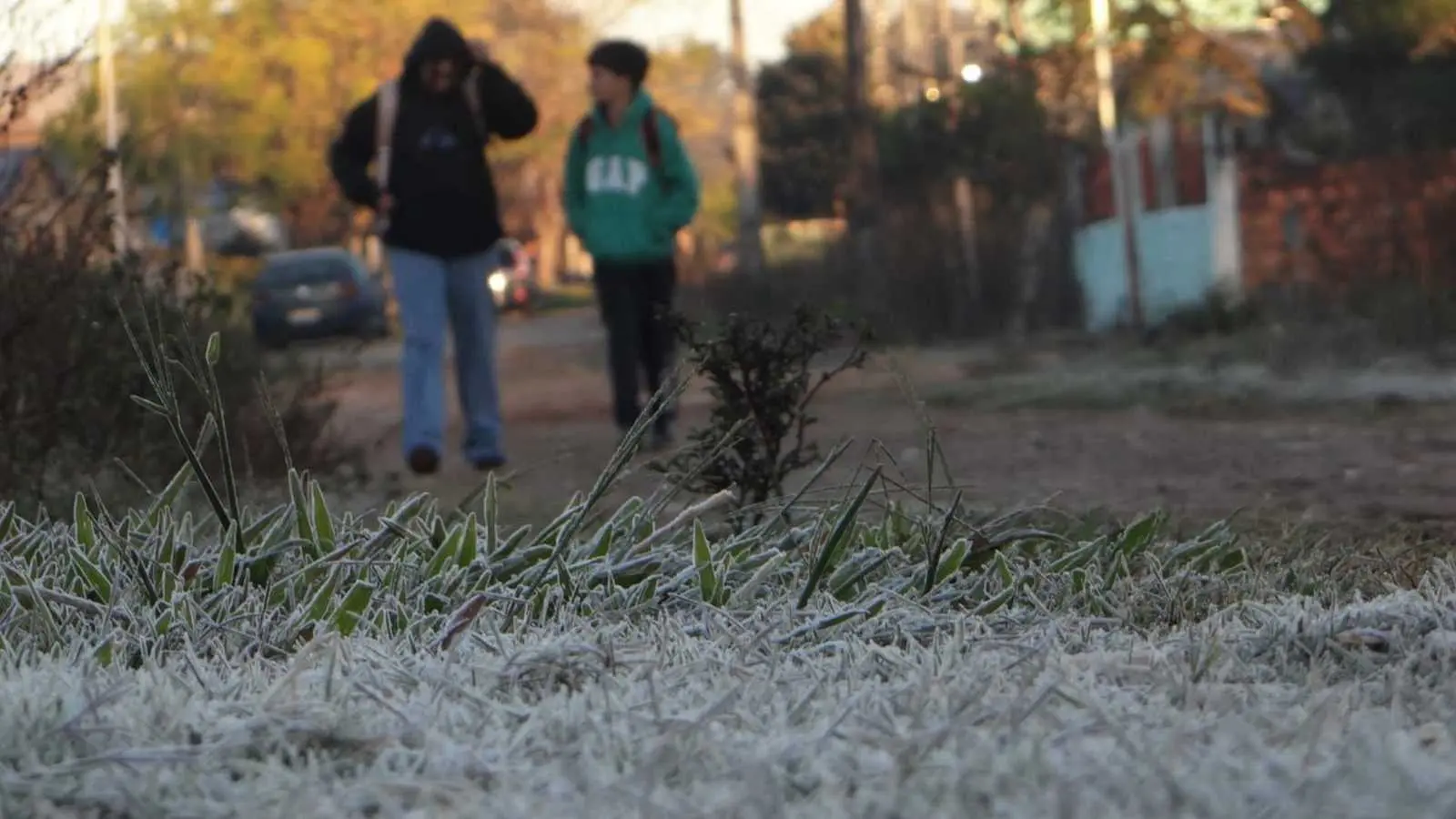Frio20052026.jpg 1
