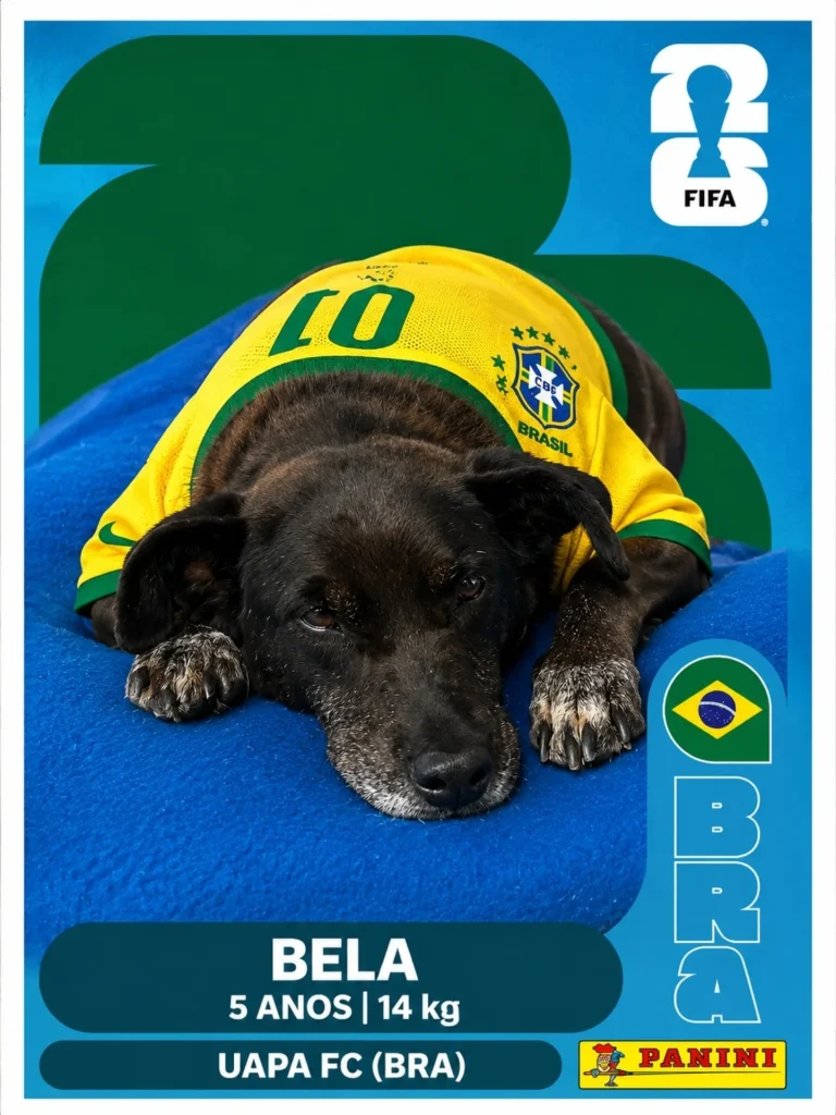 Uapa.itajai 3907073067809370824