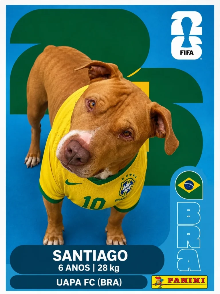 Uapa.itajai 3907073080023218208