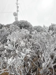 Serra Catarinense registra primeira neve de 2026