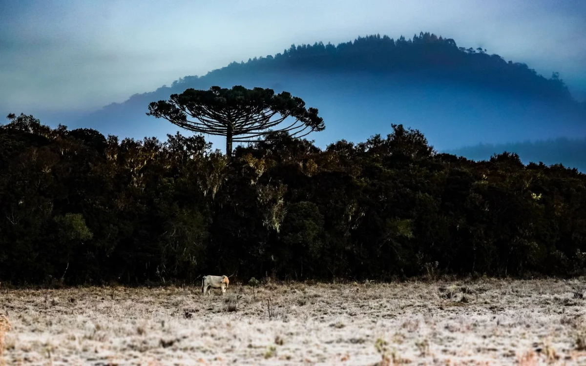 Inverno Foto Ricardo Wolffenbuttel Secom 1