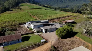 Cachaçaria de Presidente Getúlio conquista prêmio internacional e leva o nome da cidade ao mundo