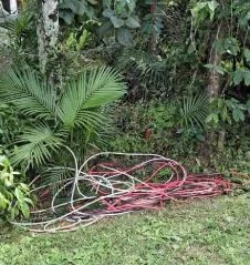 Suspeito de furtar residência é preso com cabos elétricos e bicicleta furtada em Rio dos Cedros