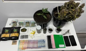 PM desmonta esquema de tráfico em Lontras e apreende cocaína, crack, maconha e plantação indoor