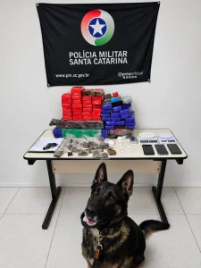Mais de 50 quilos de maconha são apreendidos e três pessoas acabam presas em Blumenau